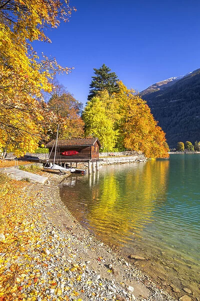 House on stilts on the shore of Lake Poschiavo in autumn, Valposchiavo, Canton of Graubunden, Switzerland, Europe
