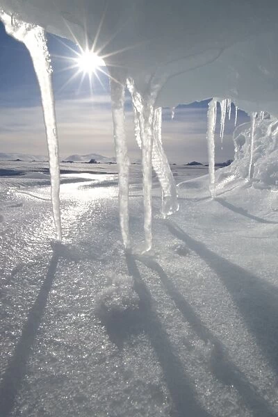 Icicles melting in the Arctic midnight sun, Nunavut, Canada, North America