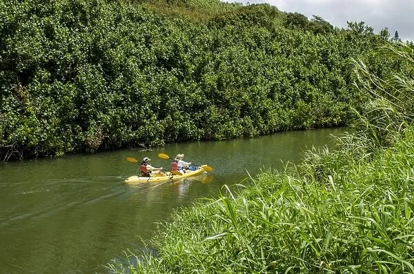 Kayaking on the Wailua River, Kauai, Hawaii, United States of America, Pacific