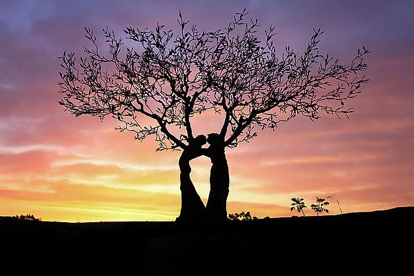 Kissing Tree at sunrise, Matera, Basilicata, Italy, Europe