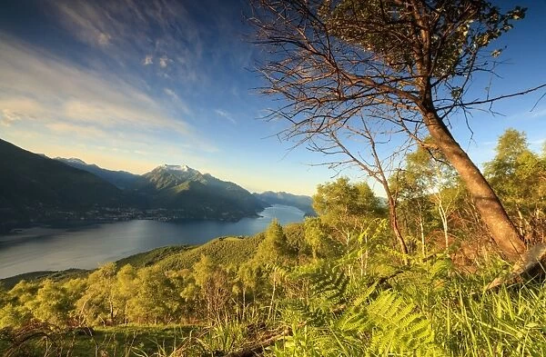 Lake Como surrounded by green meadows framed by the first lights of dawn, Cremia