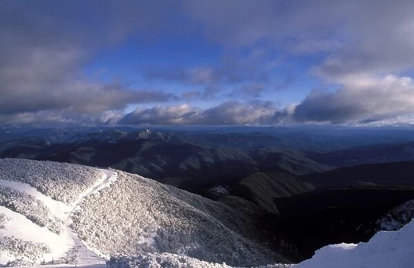 Landscape of snow-covered snow gums, mountainsand clouds, seen from Mount Buller