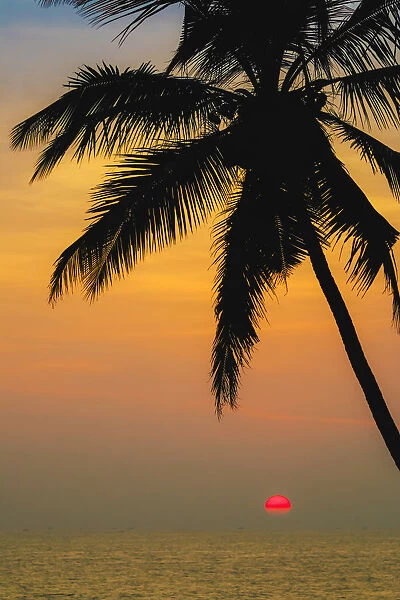 Leaning palm tree at sunset on lovely unspoilt Kizhunna Beach