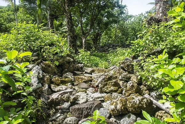 Lelu (Leluh) archaeological site, Kosrae, Federated States of Micronesia, South Pacific