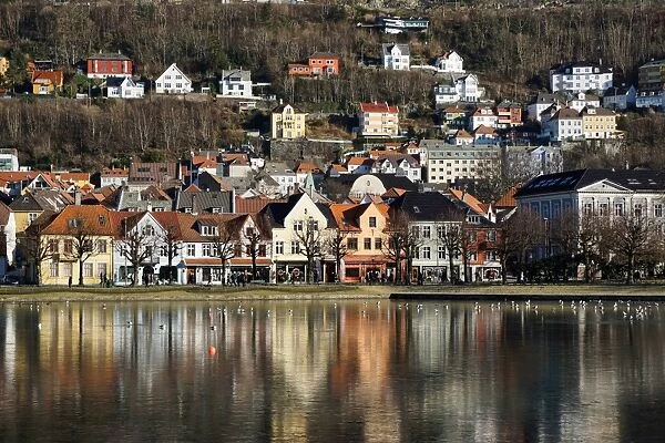 Lille Lungegard lake, Bergen, Norway, Scandinavia, Europe