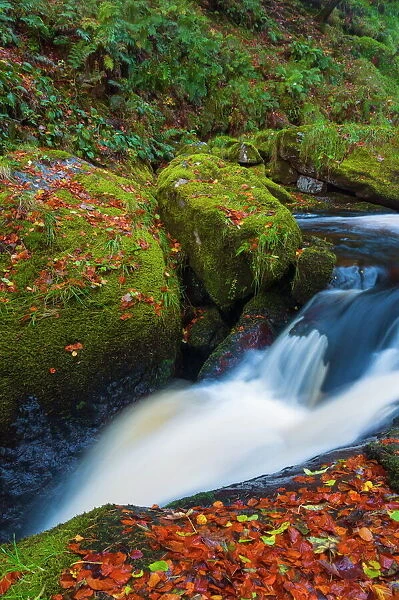 Llanrhaeadr ym Mochnant, Pistyll Rhaeadr Waterfalls, Berwyn Mountains, Powys, Wales, United Kingdom, Europe