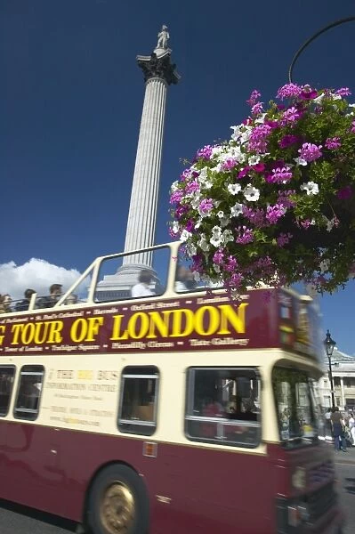 London tour bus passing Nelsons Column, Trafalgar Square, London, England