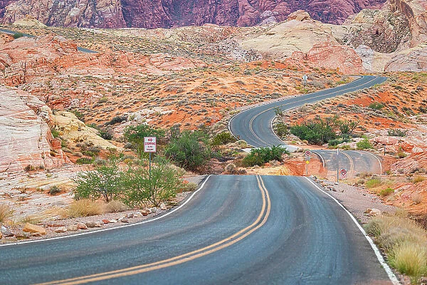 A majestic road crossing the beautiful Valley of Fire, Nevada, United States of America, North America