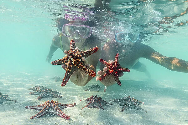 Man and woman with scuba masks showing starfish swimming underwater in the exotic lagoon, Zanzibar, Tanzania, East Africa, Africa
