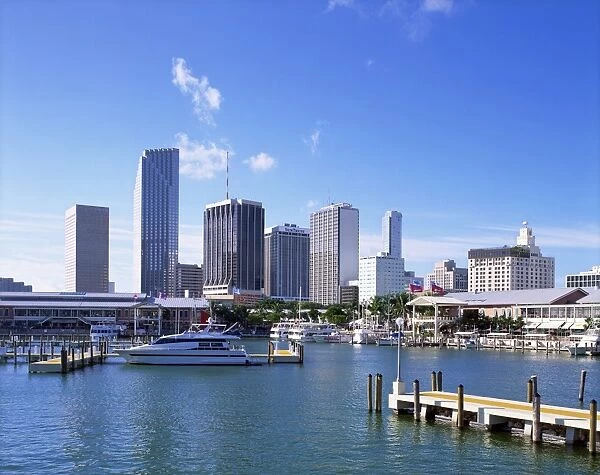 Marina and city skyline, Miami, Florida, United States of America, North America