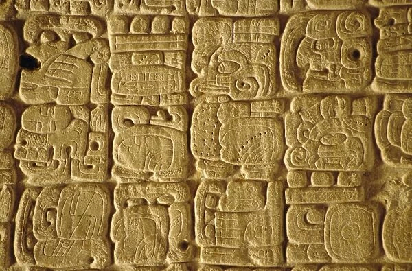Mayan carvings on Stela
