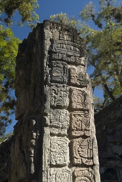 Mayan glyphs on the side of Stela P, West Court, Copan Archaeological Park