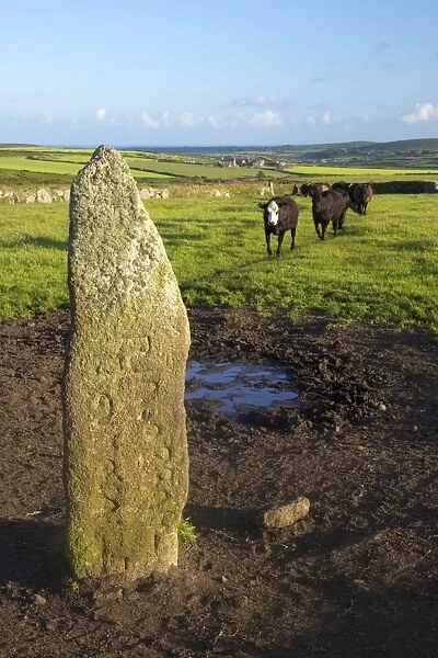 Men Scryfa granite pillar, dating from the 5th or 6th century, with inscription reading Rialobran Cunoval (Of the Royal Raven son of the Glorious Prince), Madron, Lands End Peninsula, Cornwall, England, United