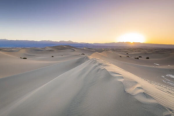 Mesquite flat sand dunes in Death Valley National Park, California, United States