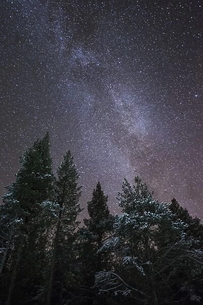 The Milky Way rising over a forest near Kiruna in Sweden, Scandinavia, Europe