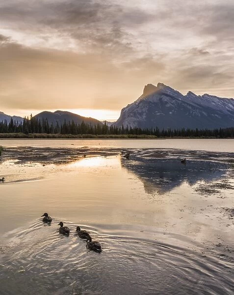 Morning landscape in the Vermilion Lakes, Banff National Park, UNESCO World Heritage Site