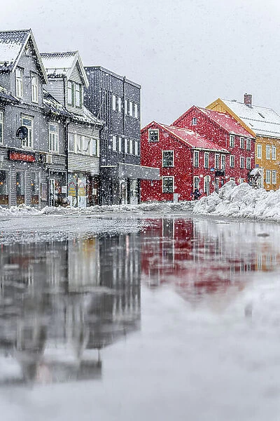 Multicolored houses in the frozen city centre of Tromso, Norway, Scandinavia, Europe