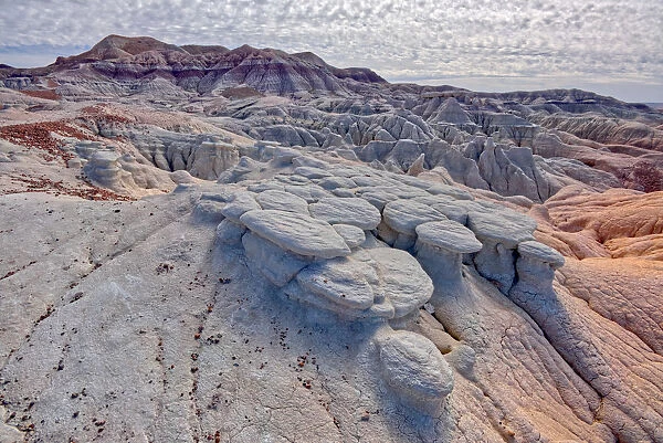 Mushroom shaped formations along the Blue Forest Trail in Petrified Forest National Park