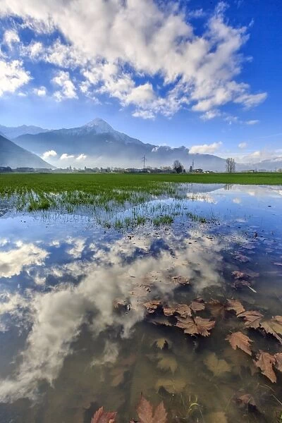 The natural reserve of Pian di Spagna flooded with Mount Legnone reflected in the water