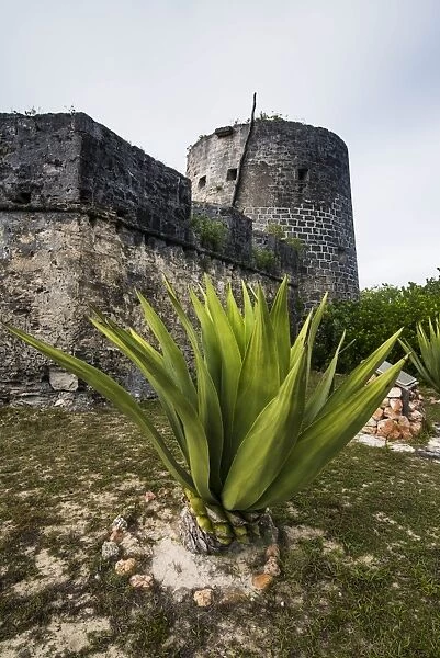 Old British watch tower in Barbuda, Antigua and Barbuda, West Indies, Caribbean, Central America