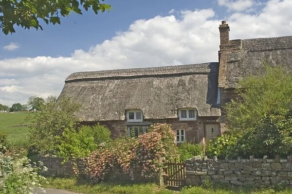 Original stone built and thatched cottage, circa 17th century, Eden Valley