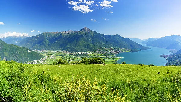 Panoramic of Monte Legnone and Alto Lario from flowering meadows above Lake Como, Bugiallo, Como province, Lombardy, Italian Lakes, Italy, Europe