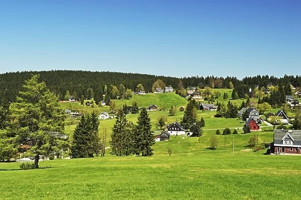 Pasture and forest, Erzgebirge, Saxony, Germany, Europe