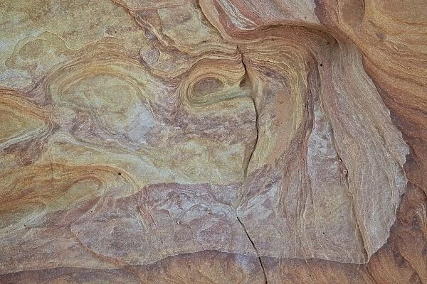 Patterns in yellow, orange, and purple sandstone, Valley of Fire State Park, Nevada, United States of America, North America