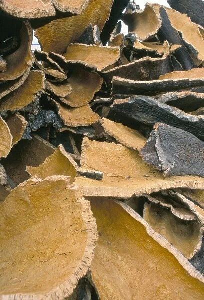 Pile of cork bark for bottle corks etc stacked to dry