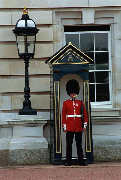 Portrait of a guard in a bearskin busby standing in front of a sentry box outside Buckingham Palace