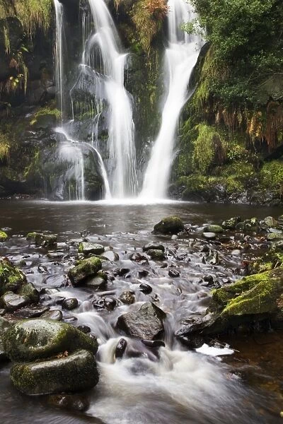 Posforth Gill Waterfall, Bolton Abbey, Yorkshire, England, United Kingdom, Europe