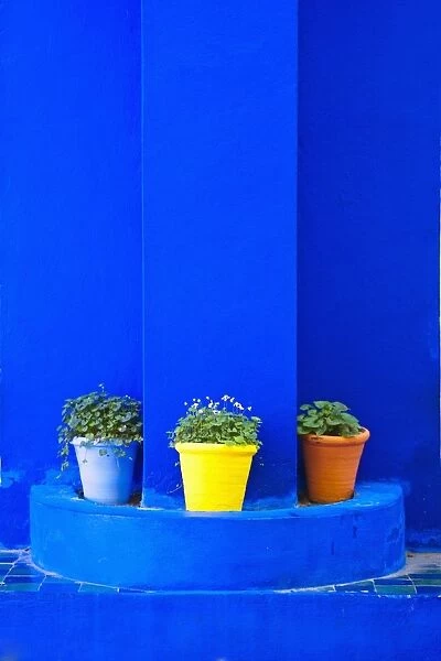 Potted plants and bright blue paintwork, Majorelle Gardens (Gardens of Yves Saint-Laurent), Marrakech, Morocco, North Africa, Africa