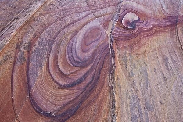 Purple loops in sandstone, Coyote Buttes Wilderness, Vermilion Cliffs National Monument
