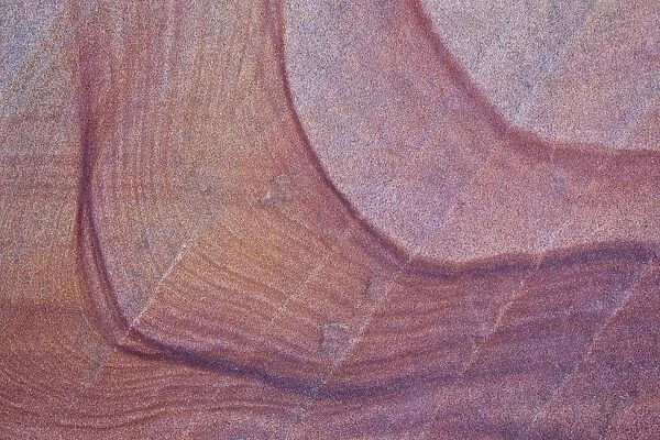 Purple stains in sandstone, Coyote Buttes Wilderness, Vermilion Cliffs National Monument