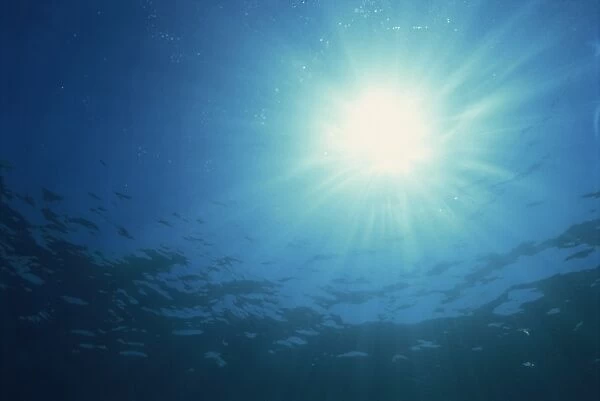 Rays of sunlight through the surface from underwater