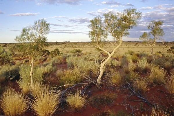 Red Centre landscape near Uluru, Yulara, Northern Territory, Australia