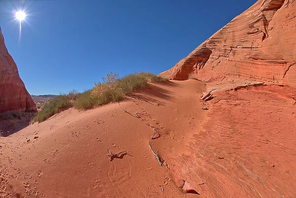 A red sand dune below a sandstone mesa, at Ferry Swale in the Glen Canyon Recreation Area near Page, Arizona, United States of America, North America