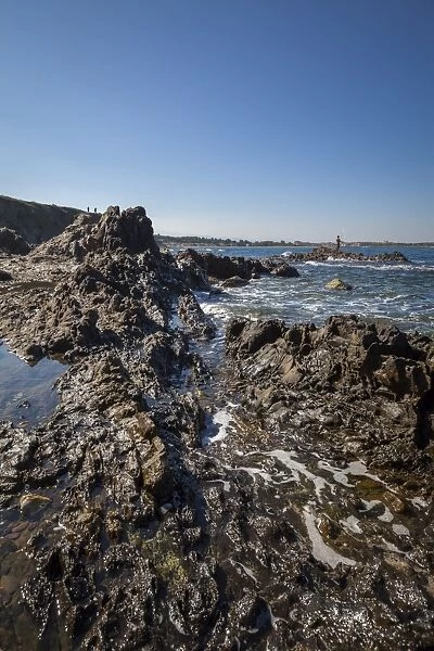Rocky beach at low tide, Argelles, France, Europe