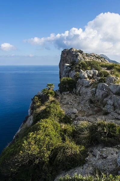 The rocky cliffs of Cap Formentor, Mallorca, Balearic Islands, Spain, Mediterranean, Europe