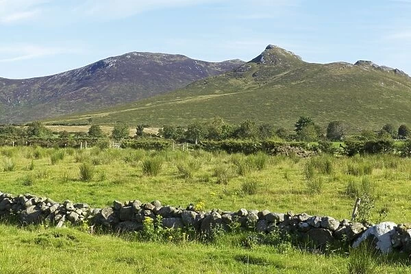 Rocky Mountain, Mourne Mountains, County Down, Ulster, Northern Ireland, United Kingdom, Europe