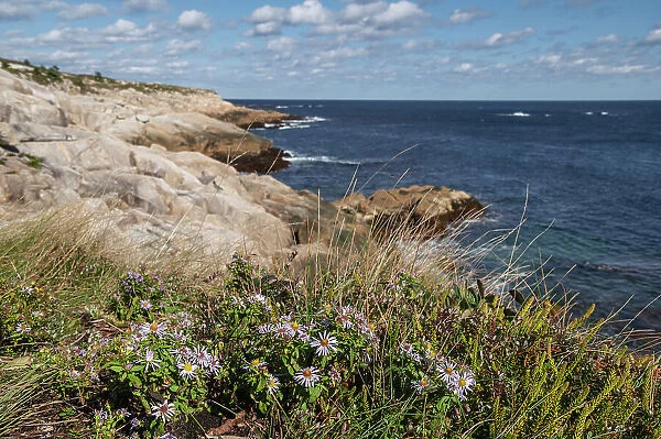 Rocky Shoreline at Duncan's Cove Nature Reserve, Nova Scotia, Canada, North America
