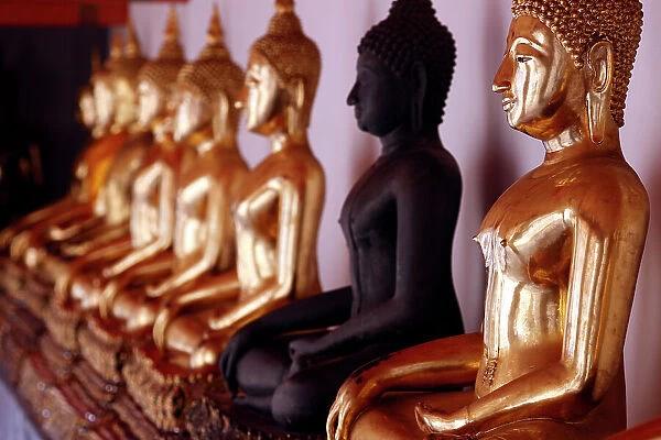 Row of golden Buddha statues, earth witness gesture, Wat Pho (Temple of the Reclining Buddha), Bangkok, Thailand, Southeast Asia, Asia