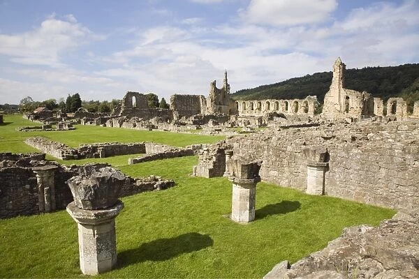 Ruins of the 12th century Cistercian Byland Abbey, destroyed by Scottish army in Battle of Byland 1322, when Edward ll was defeated, Coxwold, North York Moors National Park, Yorkshire, England, United