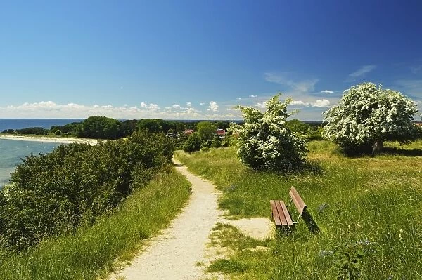 Rural scene near Thiessow, Moenchgut, Ruegen Island (Rugen Island), Mecklenburg-Vorpommern, Germany, Baltic Sea, Europe