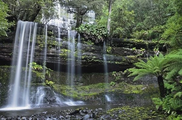 Russell Falls, Mount Field National Park, UNESCO World Heritage Site, Tasmania