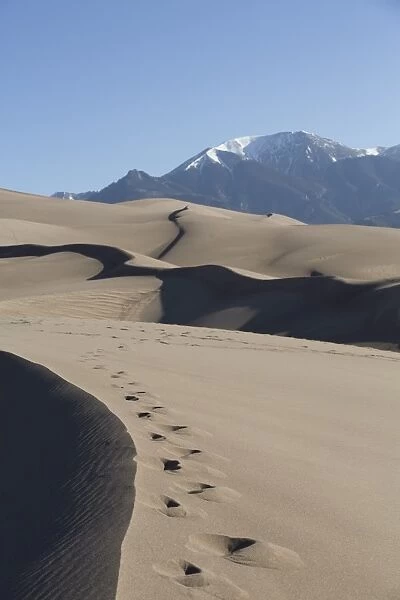 Sand dunes in the Great Sand Dunes National Park and Preserve, with Sangre Cristo Mountains in the background, Colorado, United States of America, North America