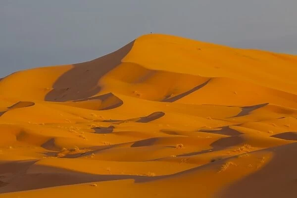 Sand dunes, Sahara Desert, Merzouga, Morocco, North Africa, Africa