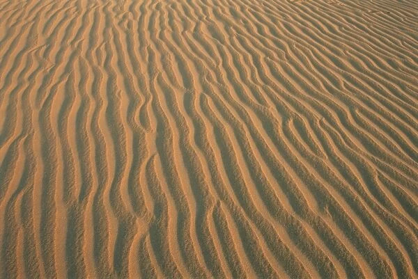 Sand ripples, between Kharga and Dakhla oases, Western Desert, Egypt, North Africa