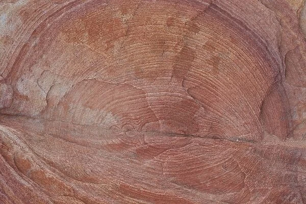 Detail of sandstone with circular rings, Valley of Fire State Park, Nevada, United States of America, North America