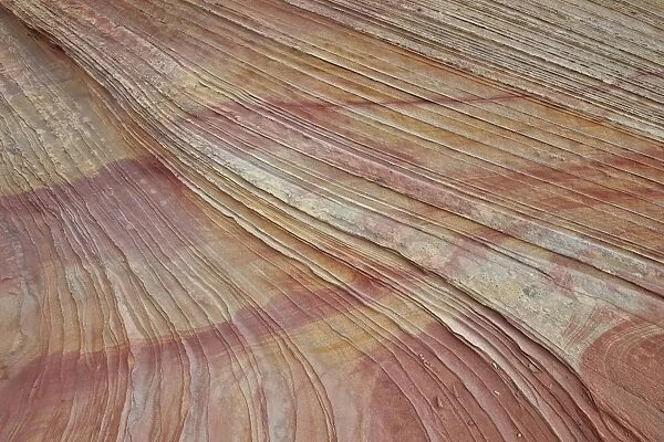 Sandstone layers and lines, Coyote Buttes Wilderness, Vermilion Cliffs National Monument